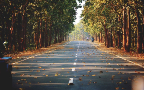 Original Autumn