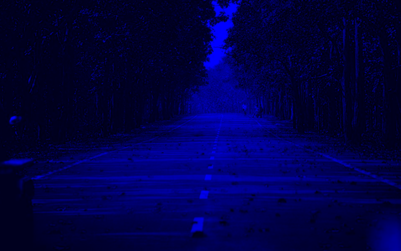 Blue-Scaled Autumn