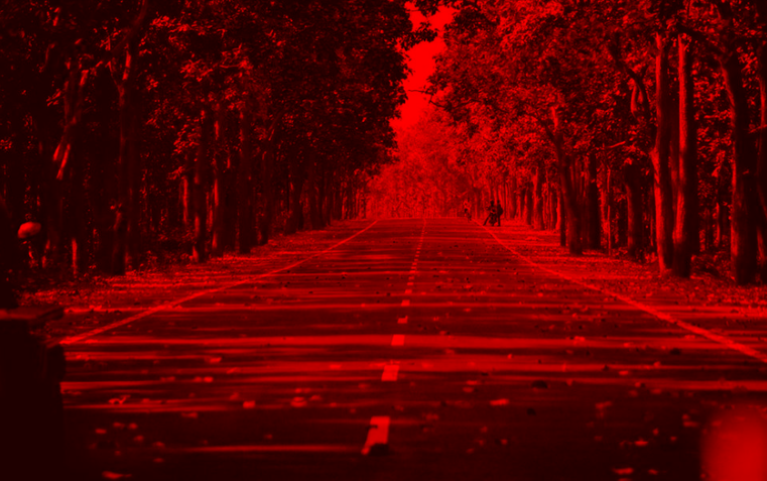 Red-Scaled Autumn